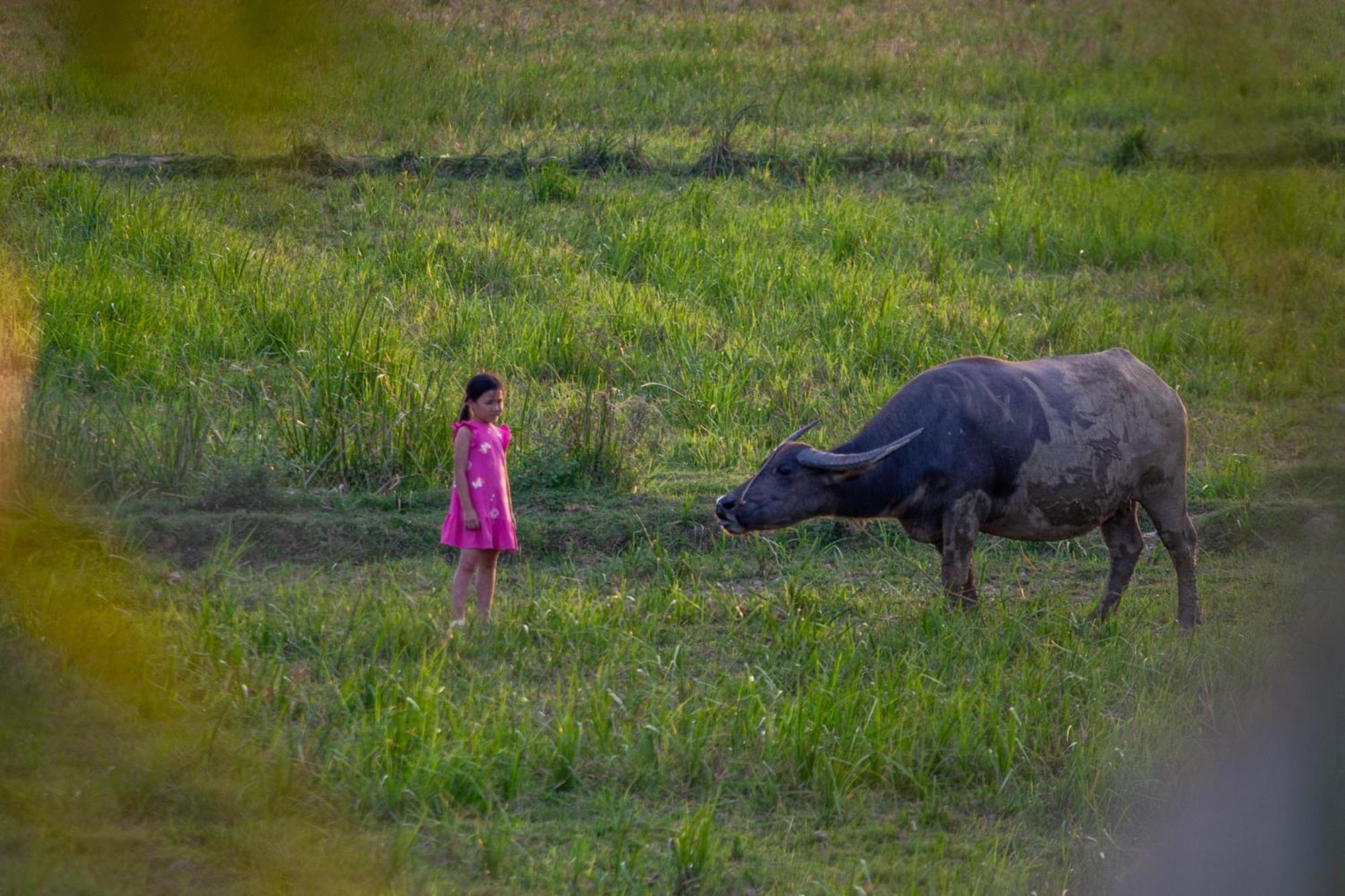 Phong Nha Farmstay Exteriör bild